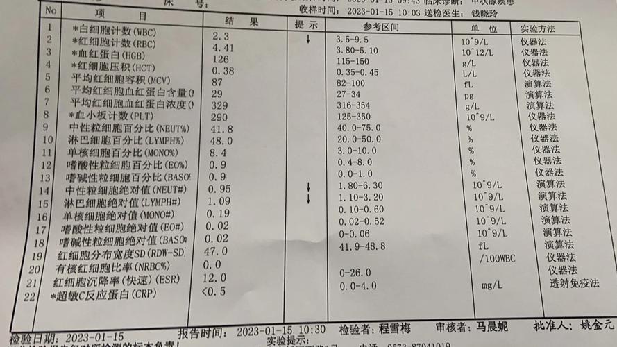 风湿查询类风湿因子 阳
