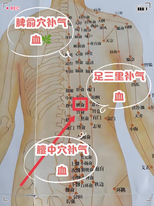 气血不通按摩什么穴位