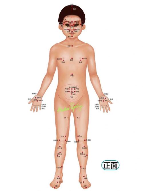 小儿推拿常用穴位挂图