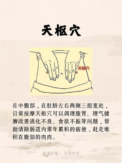 手法按摩腹部穴位减肥