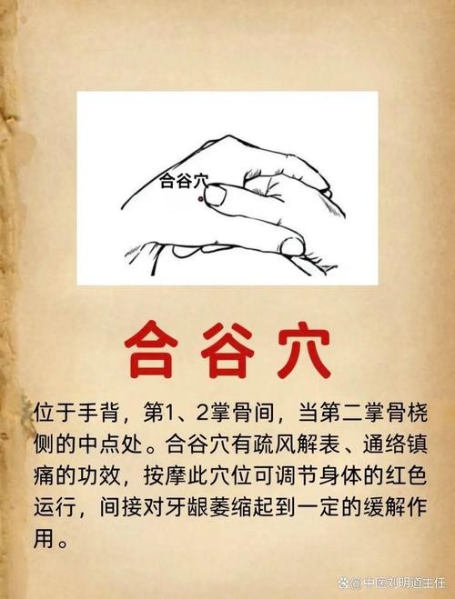 牙龈萎缩按摩哪些穴位