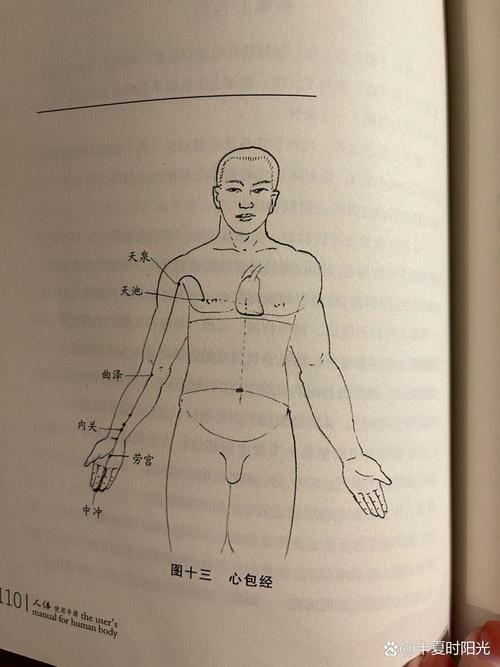 牙龈萎缩按摩哪些穴位