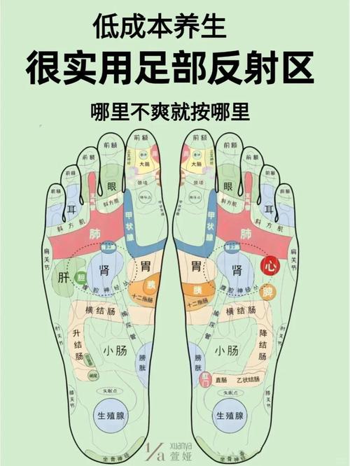 怎么准备认准脚底穴位