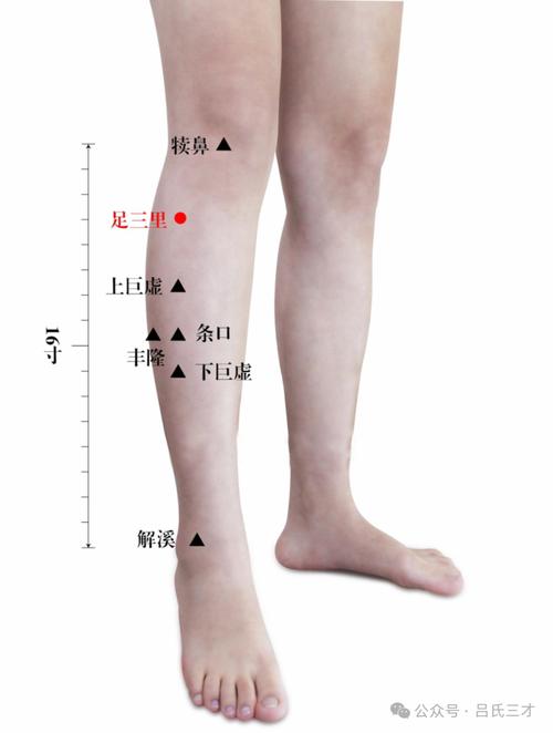 桥本甲亢艾灸什么穴位