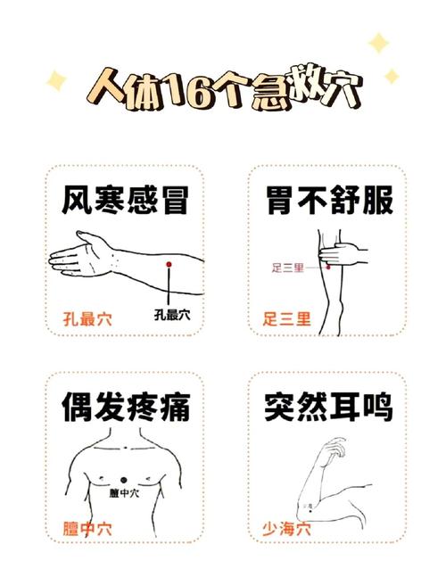 艾灸哪个穴位反应最大