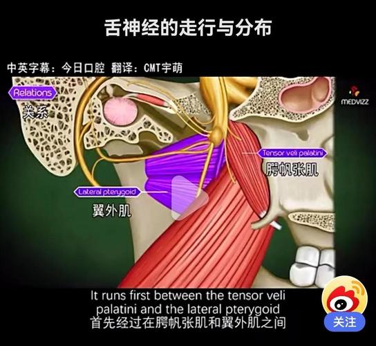 脑梗脑干堵塞舌根后辍