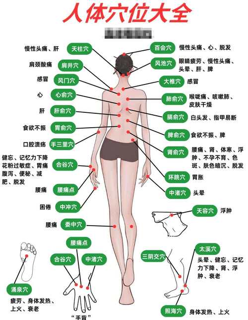 怎样准确找到身体穴位