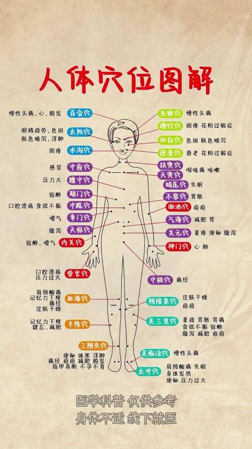 怎样准确找到身体穴位