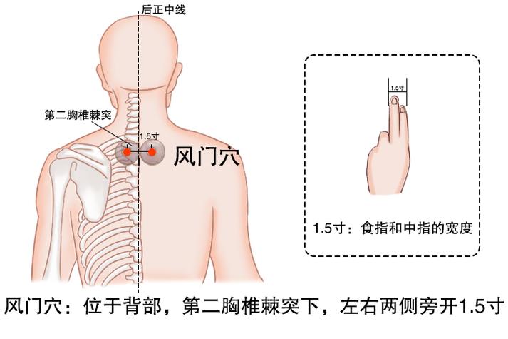 后背穴位风门 肺俞疼