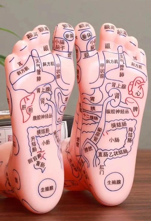 脚底那个穴位治疗便秘