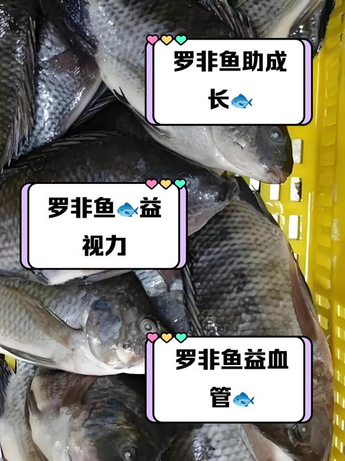 脑梗病人能吃罗非鱼吗