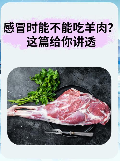 类风湿关节炎能吃羊肉吗