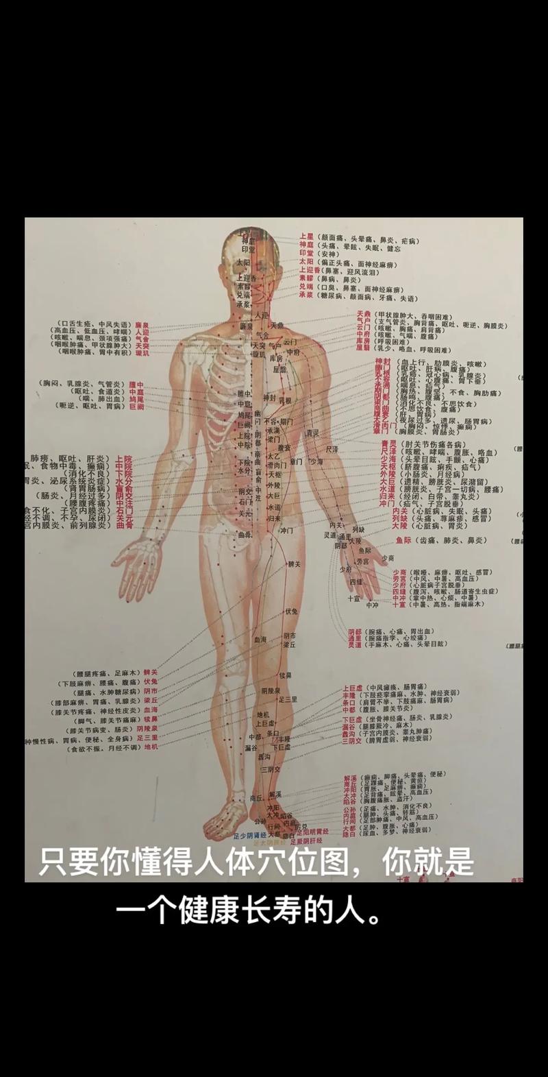 男性穴位图解 正面