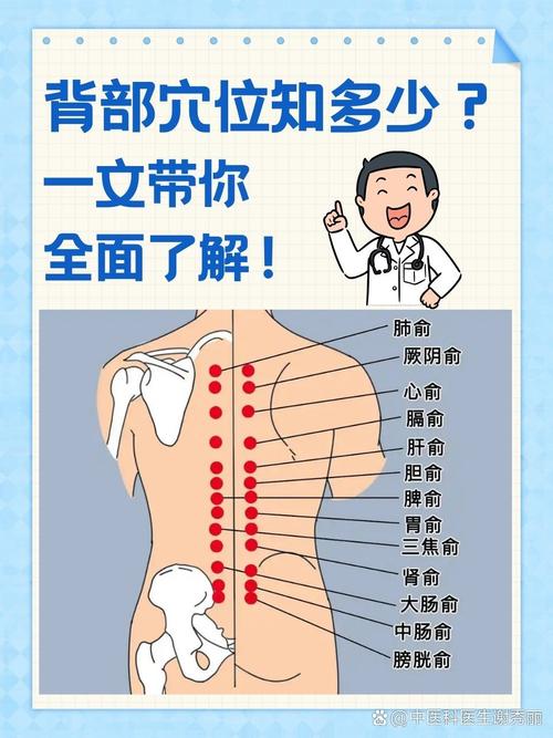 背后按摩穴位高清图片