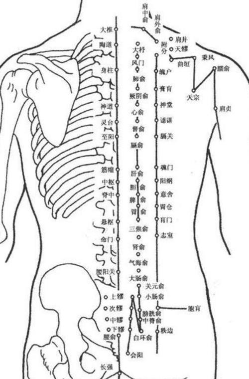 背后按摩穴位高清图片