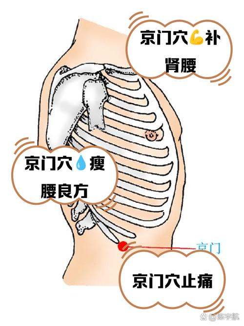 京门穴 人体穴位查询