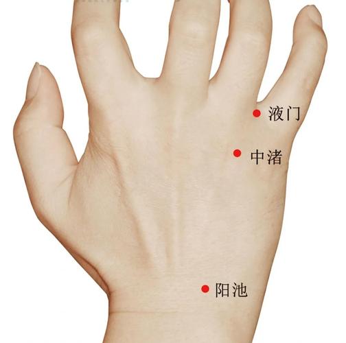 京门穴 人体穴位查询