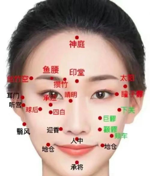 脸部穴位 位置及作用