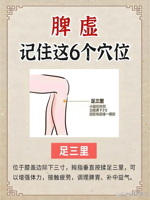 那个穴位健脾作用最强