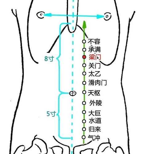喝酒反胃按摩哪个穴位