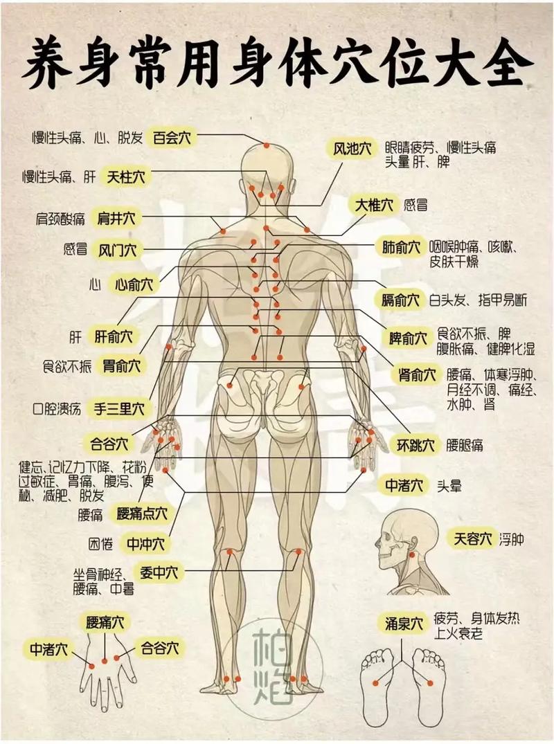 血虚失眠针灸哪些穴位