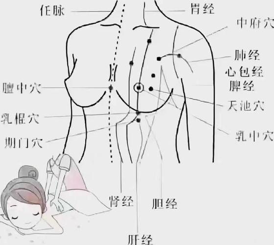 男性乳腺增生对应穴位