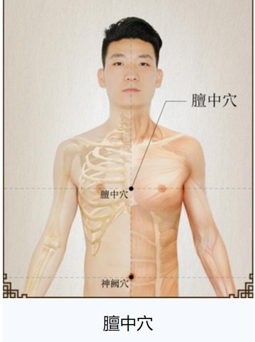 男性乳腺增生对应穴位