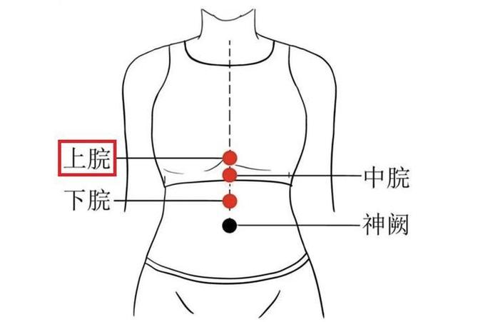 人体穴位胃炎图片哪里
