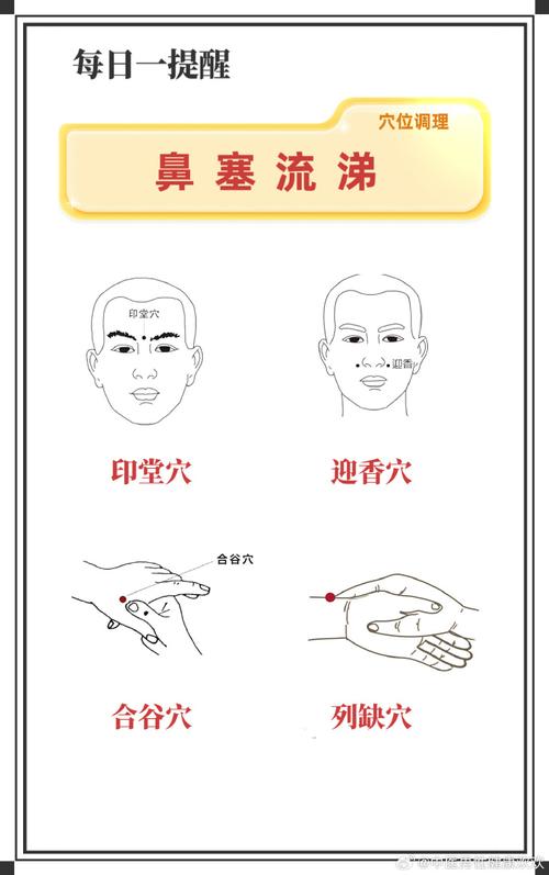 女性鼻尖对应什么穴位