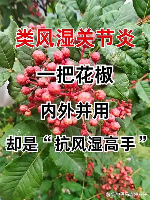类风湿关节炎可以治好吗