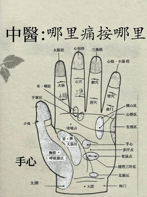 手掌穴位对应器官解读