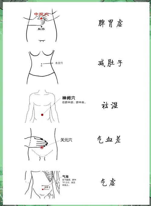 那些穴位艾灸可以减肥