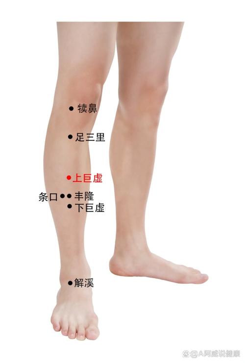 中风肢体针灸治疗穴位