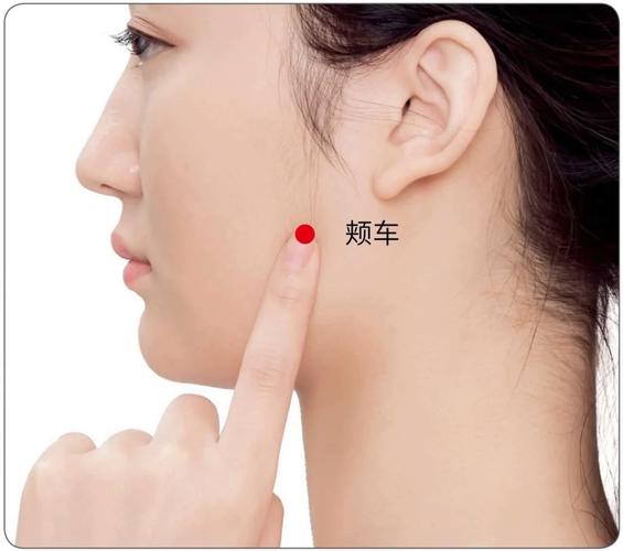 牙龈肿痛艾炙哪个穴位