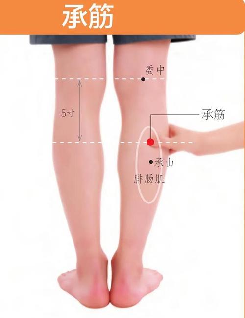 腿部肌肉酸痛按摩穴位