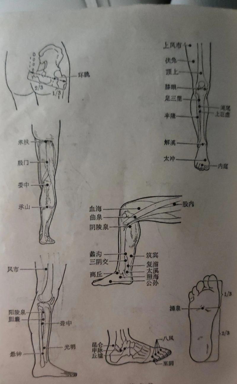 人体穴位按摩大全高清