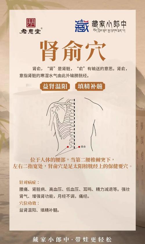 肾虚按摩那个穴位最好