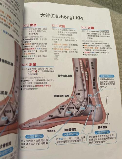 针灸穴位男性真人挂图