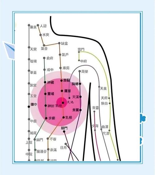 艾炙什么穴位可以丰胸