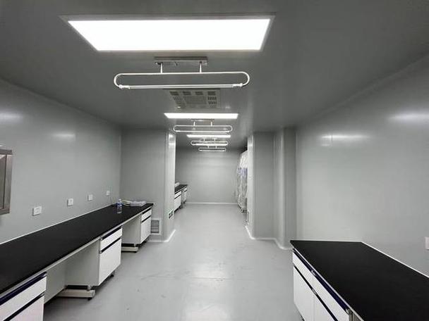 抗环瓜氨酸肽抗体 风湿