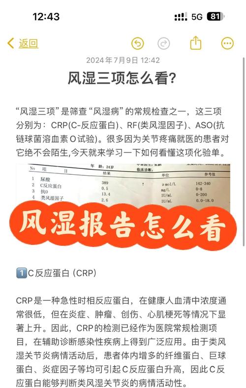 ccp正常类风湿因子高