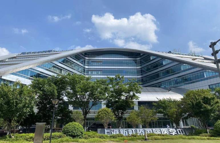 上海哪个医院治疗脑梗