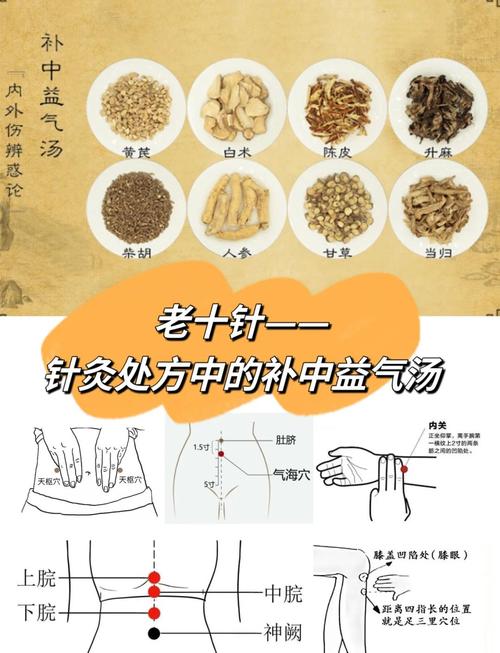 中医穴位注射疗法大全