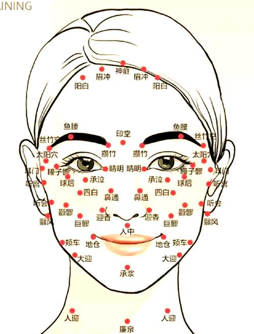 艾灸痘痘面部哪个穴位