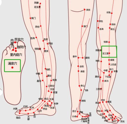 左侧小腿中部穴位反应