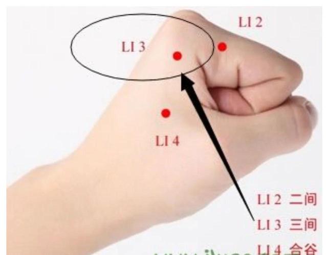 白带发黄针灸什么穴位