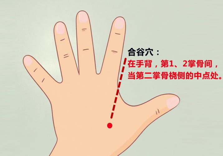 牙齿不好按摩什么穴位