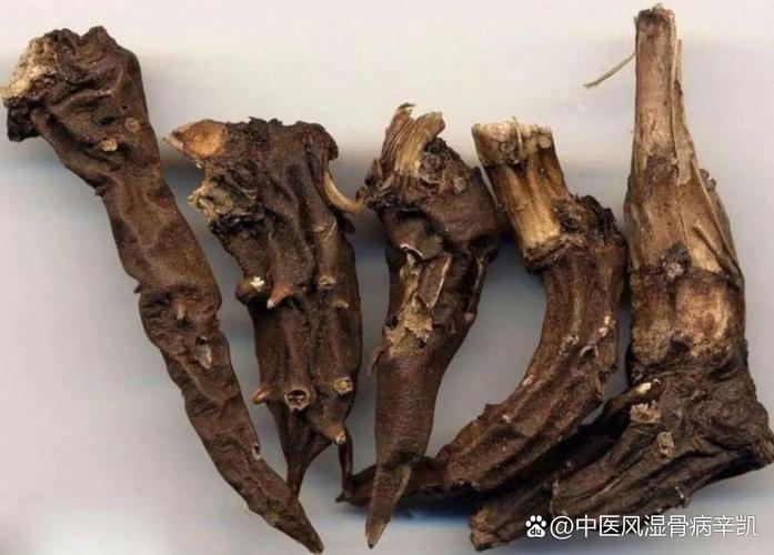 类风湿性关节炎中药治疗