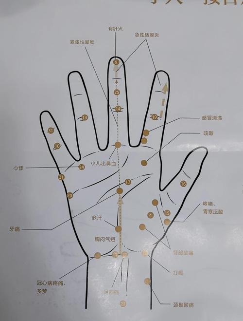 右手手上穴位对应内脏