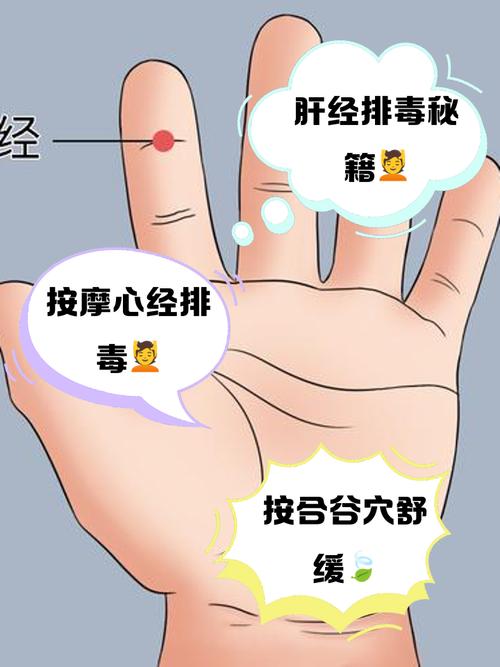 哪个穴位可以收缩毛孔